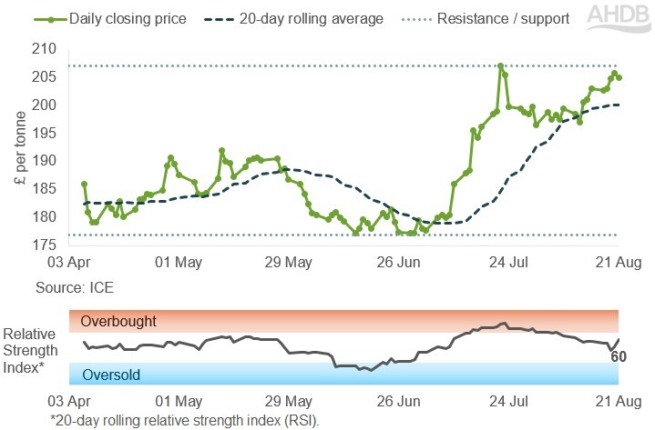 Line graph of UK feed futures Nov-26 contract prices over the past six months.